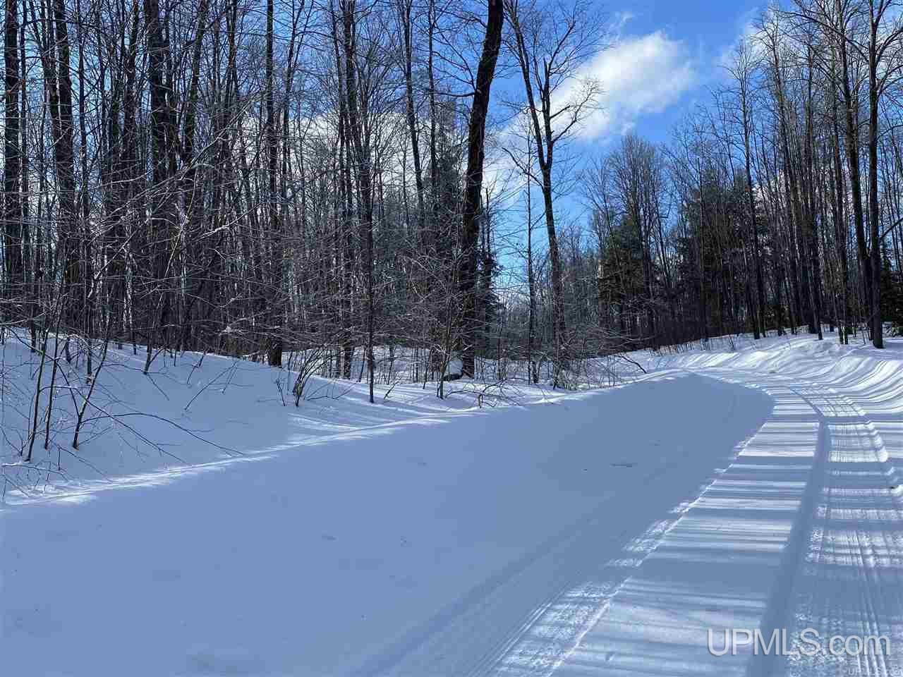 On On Chaney Cove Road, Unit LOT 1 Bessemer, MI 49911 - Photo 28 of 28