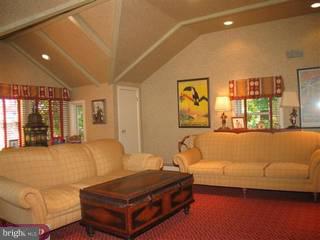 214 Fairview Road Penn Valley, PA 19072 - Photo 4 of 6