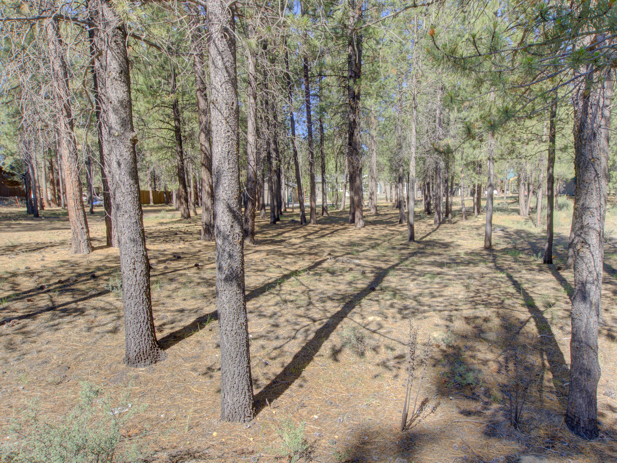 53381 Andrews Road La Pine, OR 97739 - Photo 31 of 31 _I9A5936_7_8