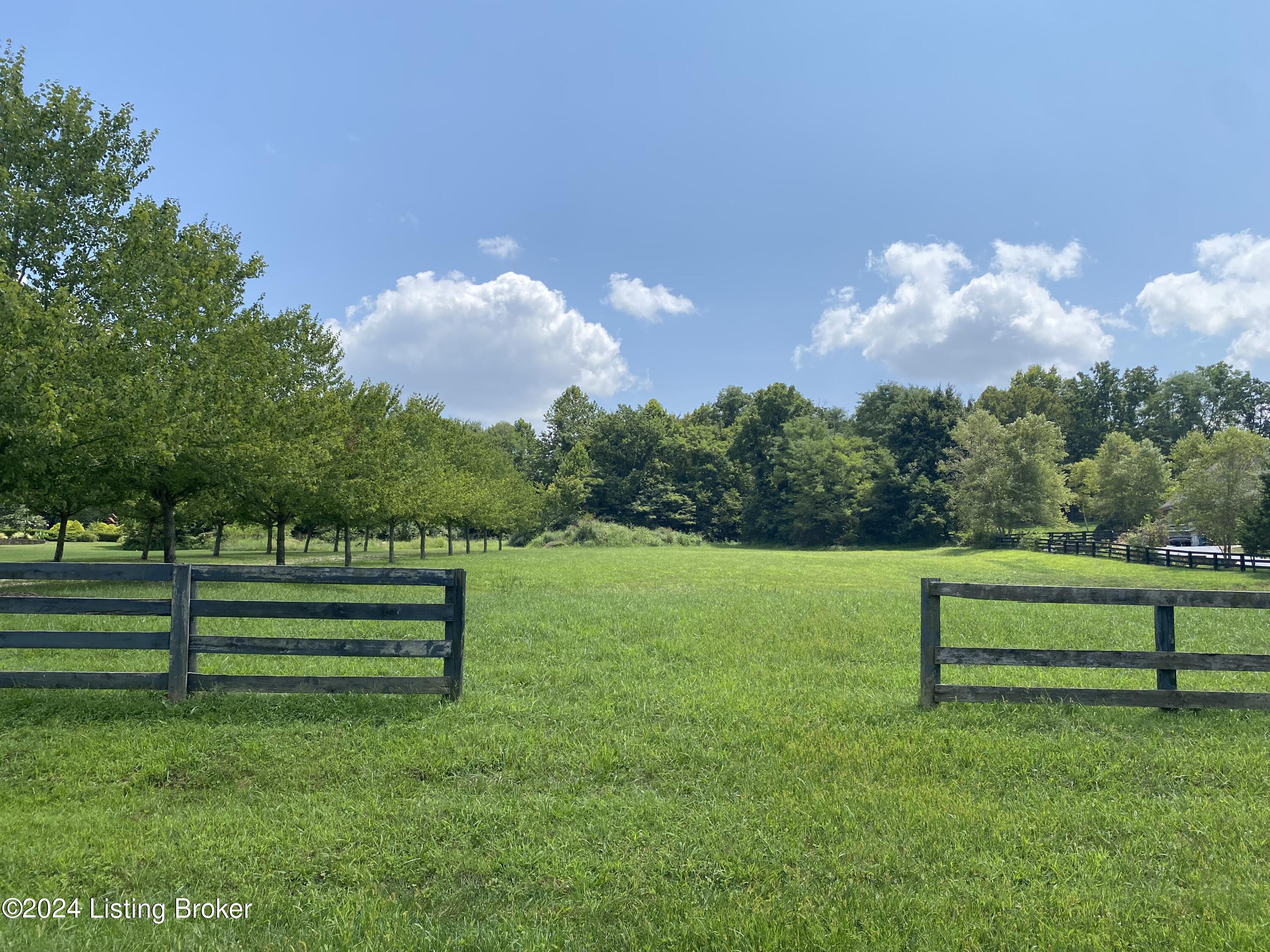 107 Rollington Road Pewee Valley, KY 40056 - Photo 11 of 11 IMG_1180