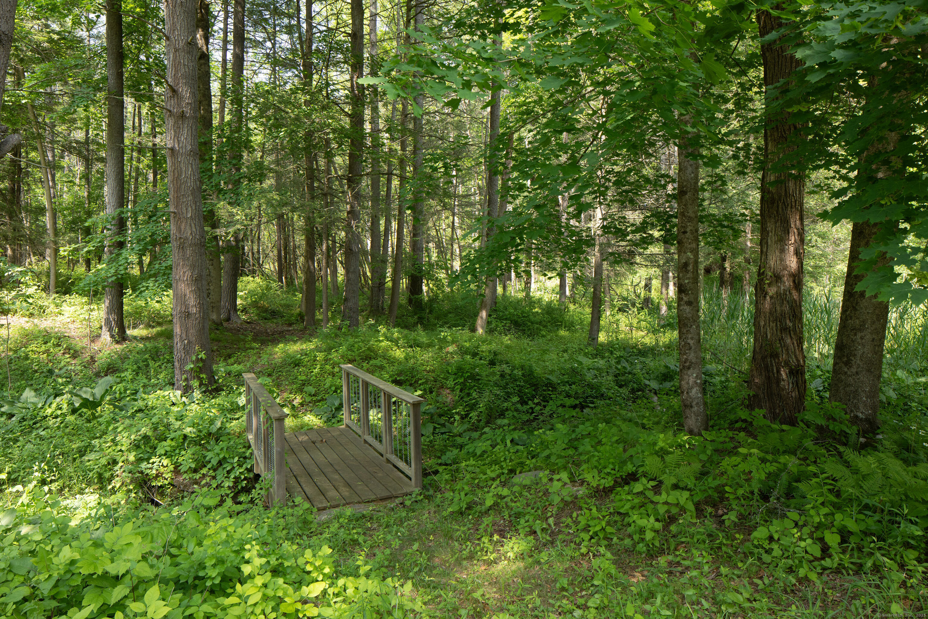 48 Preston Lane Salisbury, CT 06068 - Photo 13 of 36 a view of a lush green forest