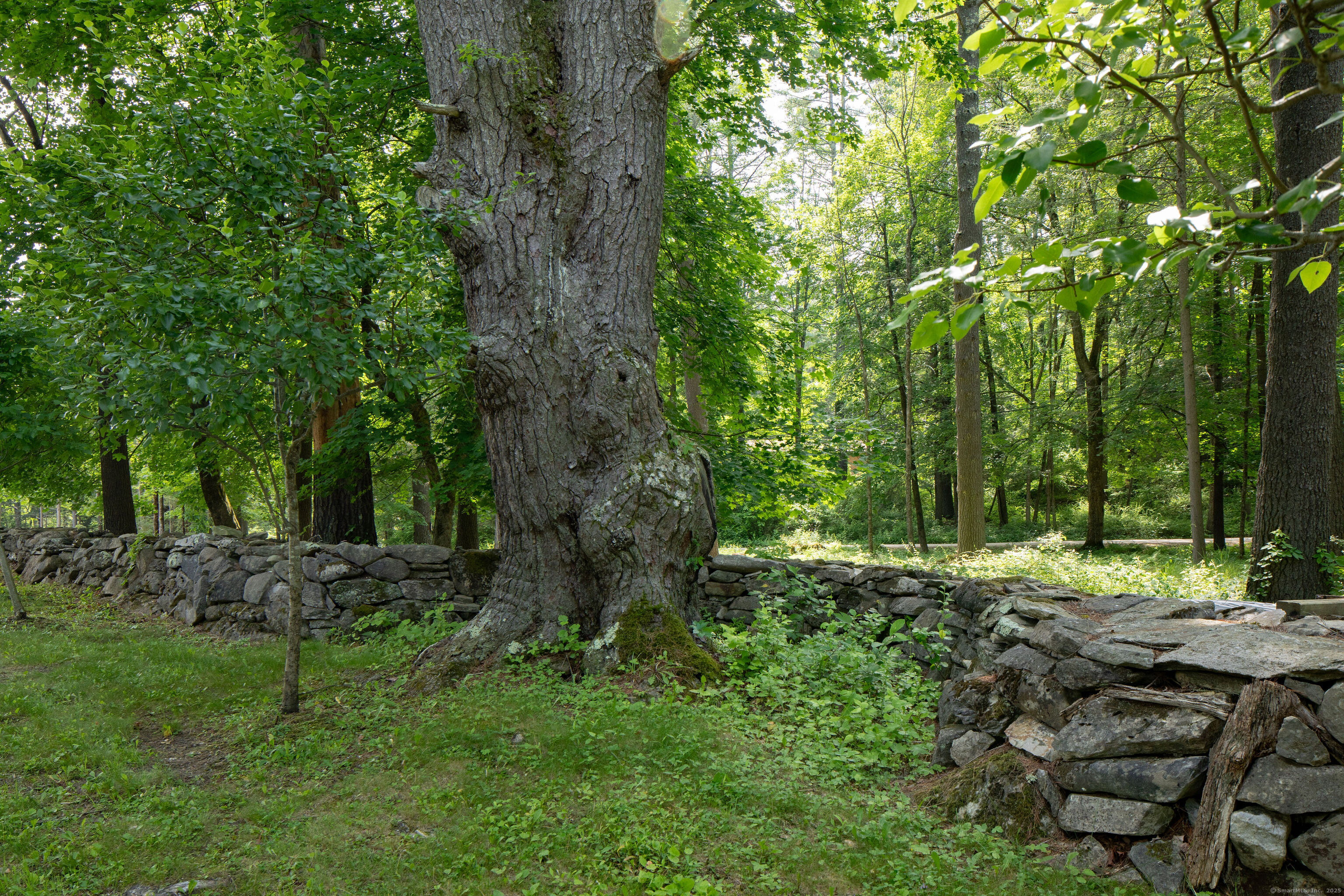 48 Preston Lane Salisbury, CT 06068 - Photo 10 of 36 a big yard with lots of green space and trees