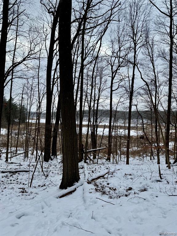 0 Lasher Road Dryden, MI 48428 - Photo 15 of 16