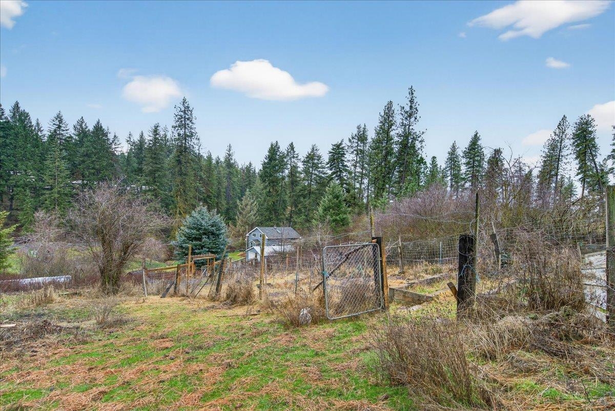 16825 North Day Mt Spokane Road Green Bluff, WA 99021 - Photo 39 of 41
