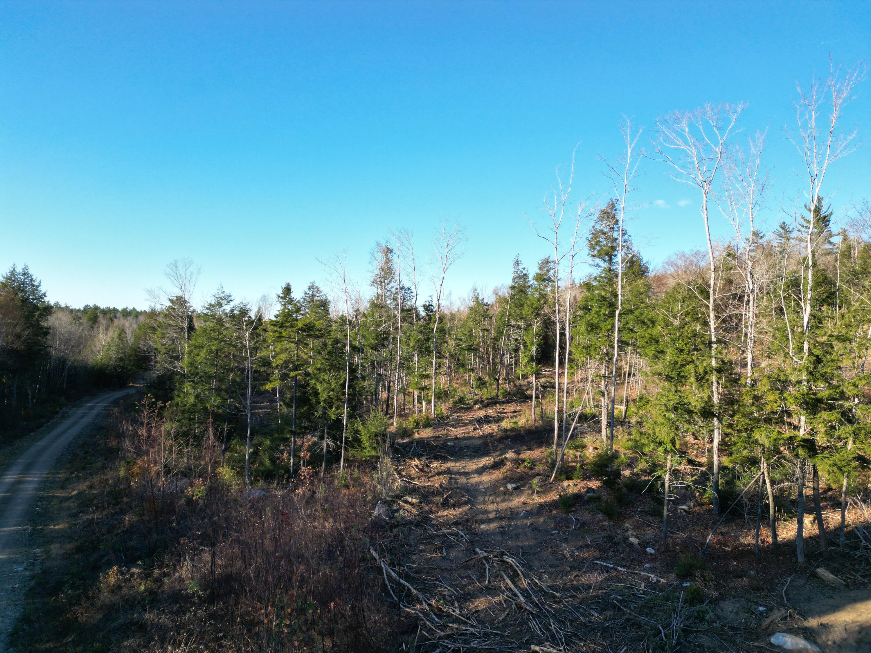 Lot 11 Ghost Road Springfield, ME 04487 - Photo 9 of 10 DJI_0931