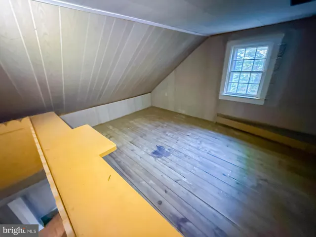 a backyard of a house with plants and large trees