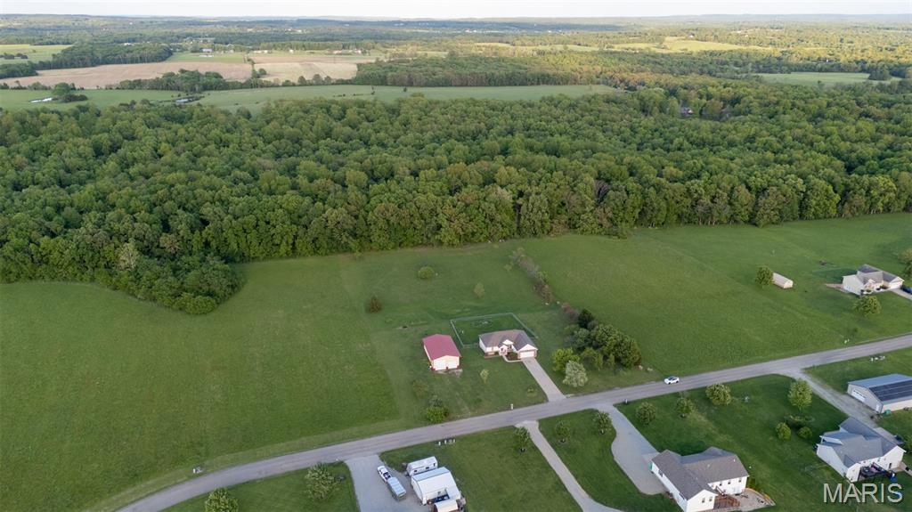 1036 Ridgewood Farms Farmington, MO 63640 - Photo 12 of 55