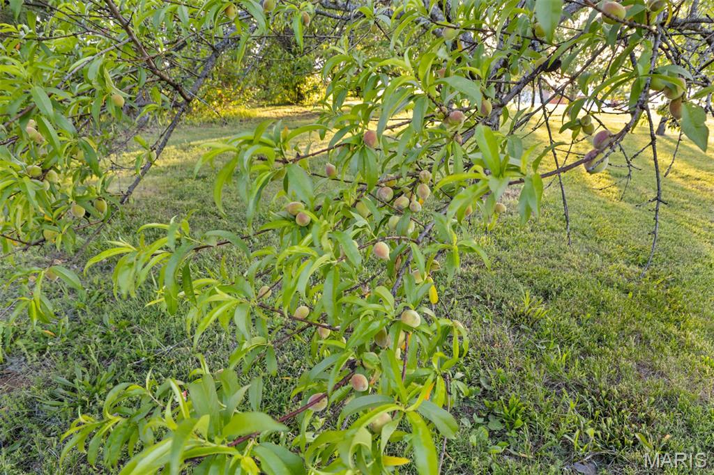 1036 Ridgewood Farms Farmington, MO 63640 - Photo 51 of 55