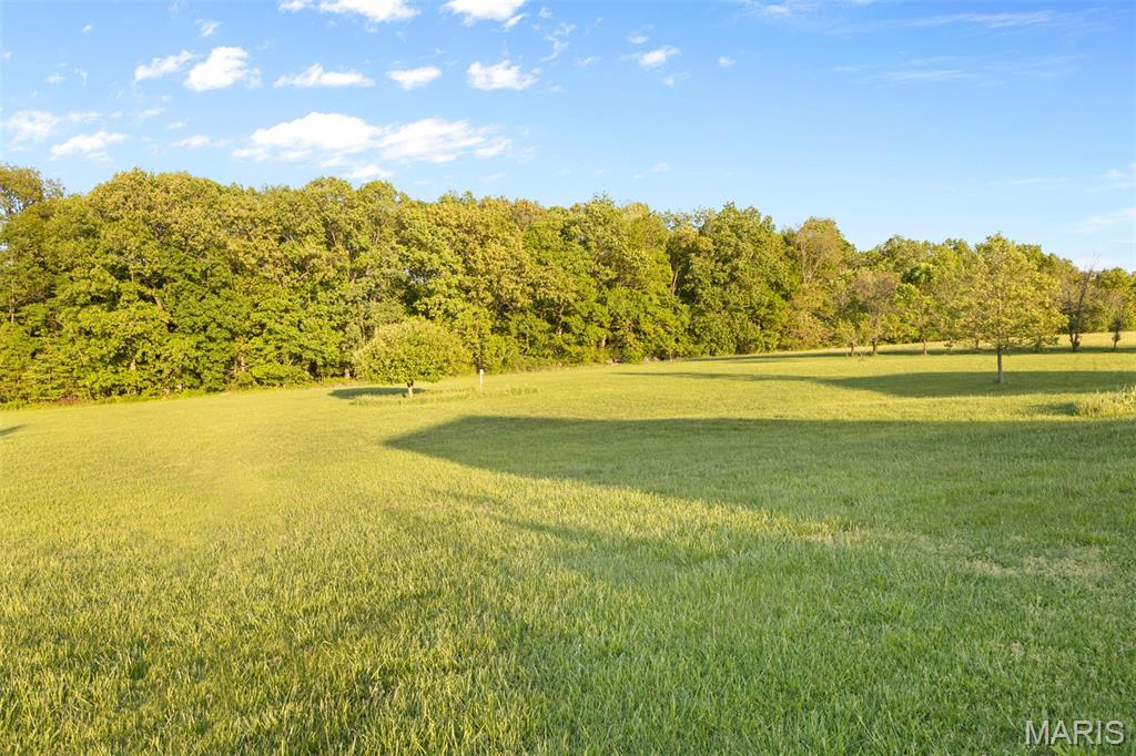 1036 Ridgewood Farms Farmington, MO 63640 - Photo 54 of 55