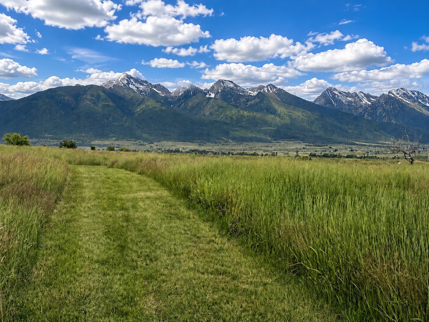 56516 Old Freight Road St. Ignatius, MT 59865 - Photo 40 of 44 Gallery Image 40