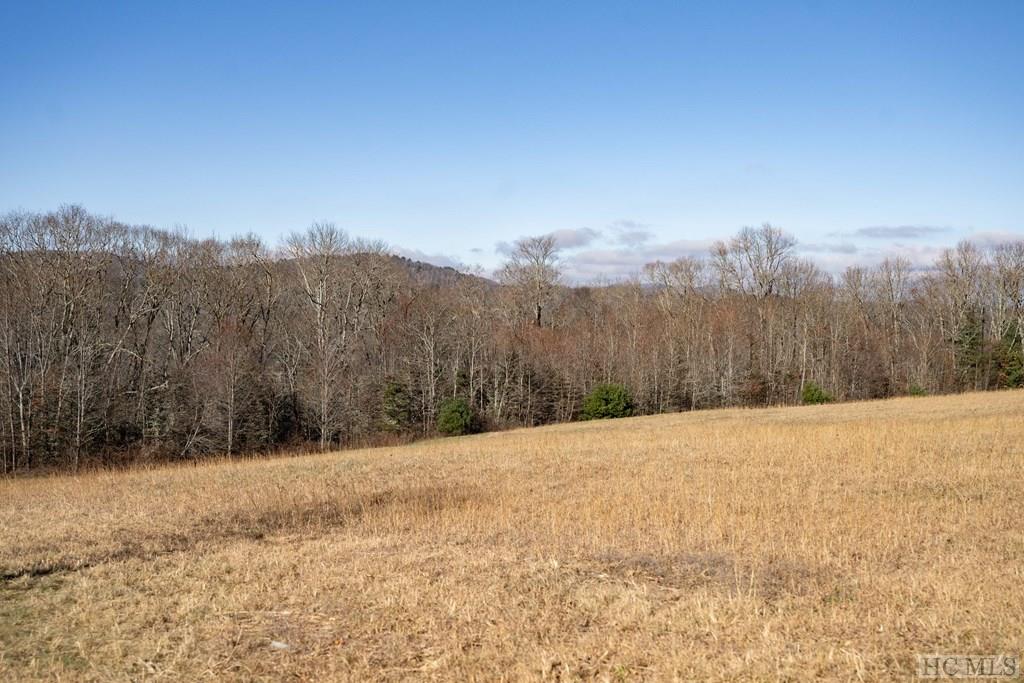 Lot 3 High Meadow Road Cullowhee, NC 28723 - Photo 13 of 20 Gallery Image 13