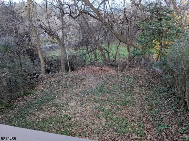 a view of a yard with large trees