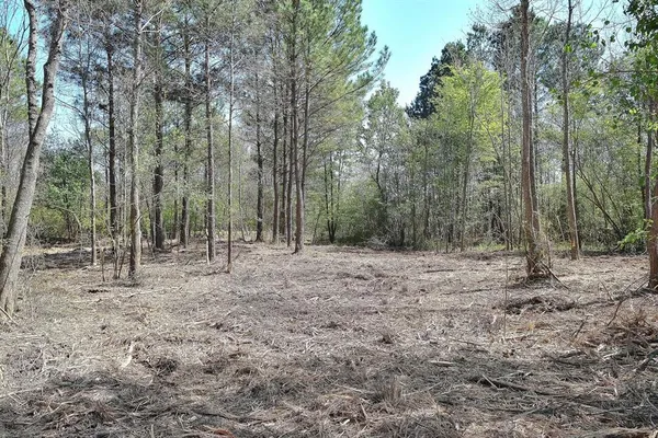 $19,000 | 0 Collins Road, Texarkana, TX 75501