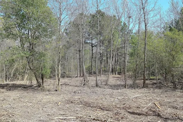 $19,000 | 0 Collins Road, Texarkana, TX 75501