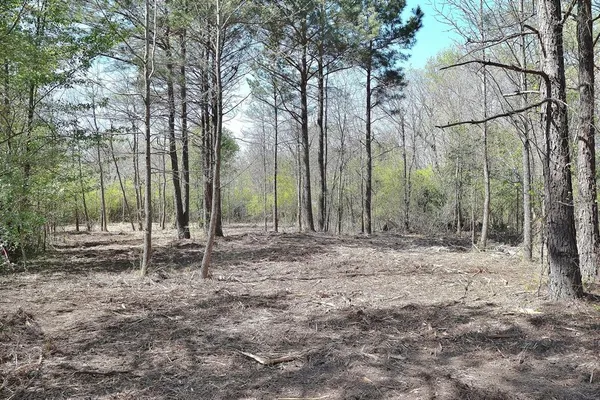 $19,000 | 0 Collins Road, Texarkana, TX 75501