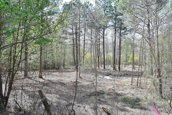 $19,000 | 0 Collins Road, Texarkana, TX 75501