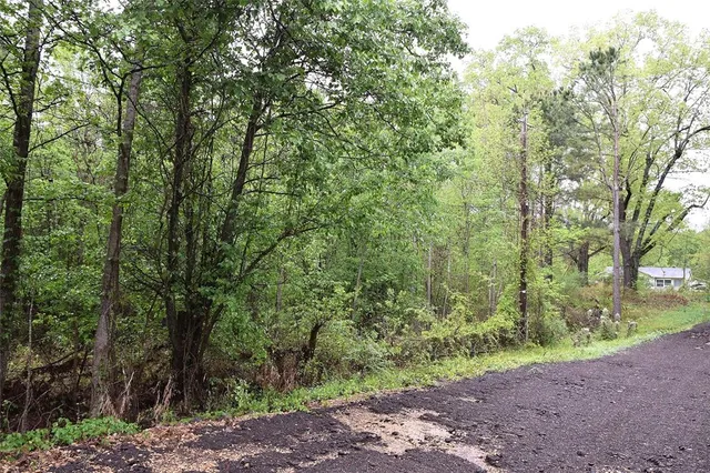 a view of a yard with a trees