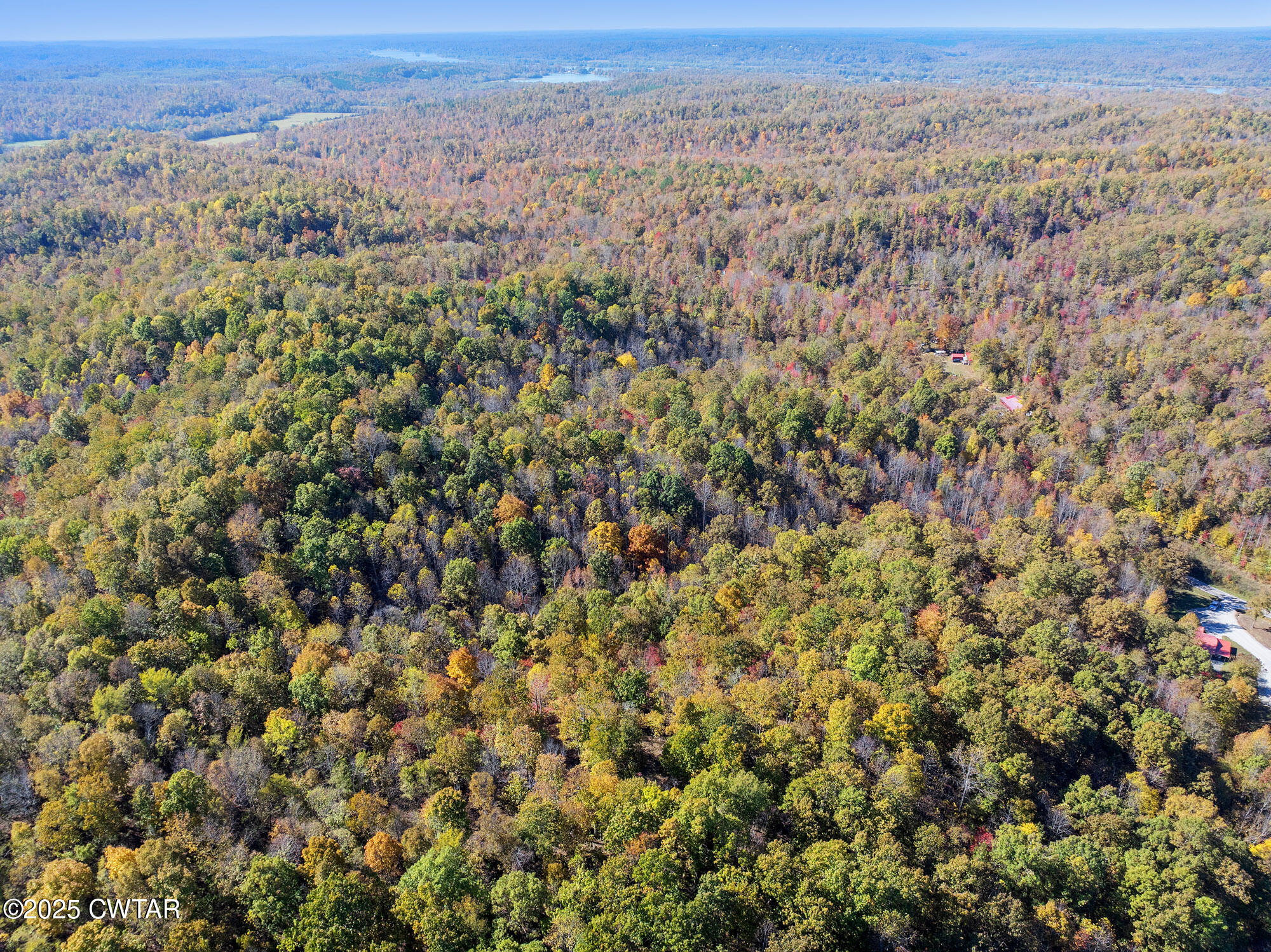 0 Lower Crooked Creek Road Lobelville, TN 37097 - Photo 11 of 15 an aerial view of forest