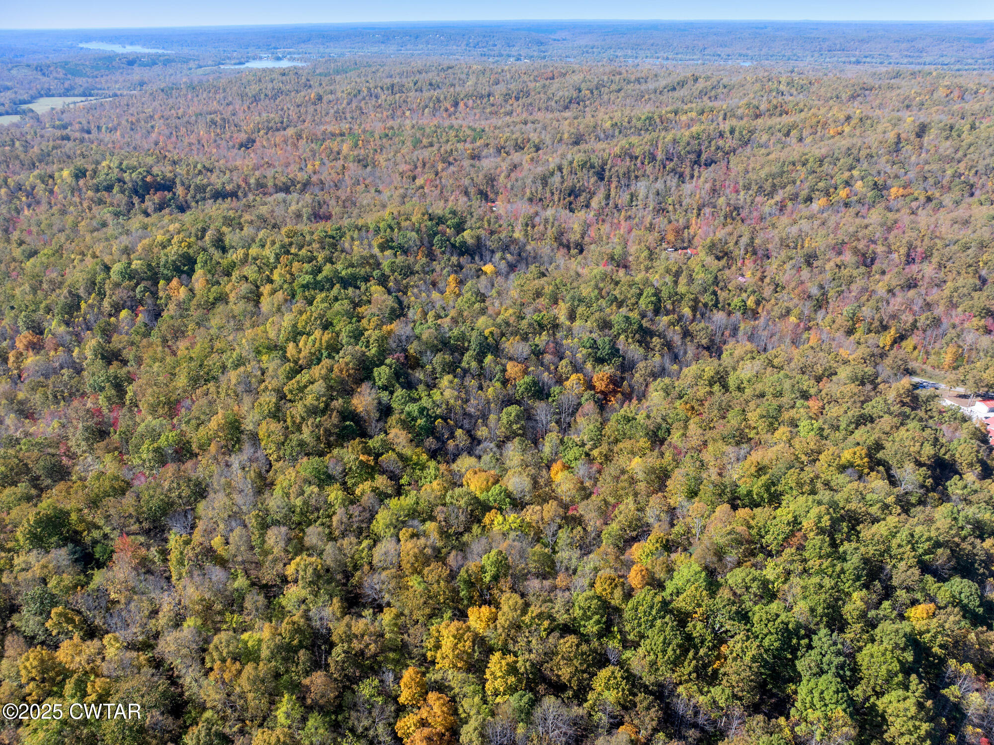 0 Lower Crooked Creek Road Lobelville, TN 37097 - Photo 12 of 15 an aerial view of forest