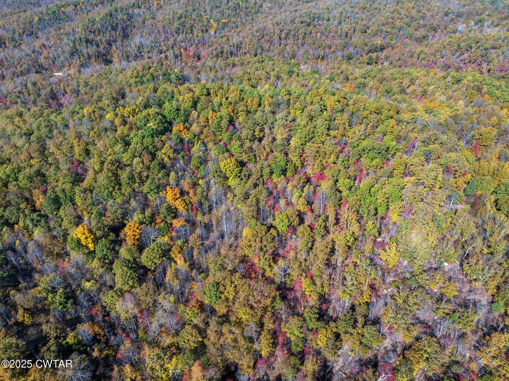 0 Lower Crooked Creek Road Lobelville, TN 37097 - Photo 14 of 15 a view of a dry yard