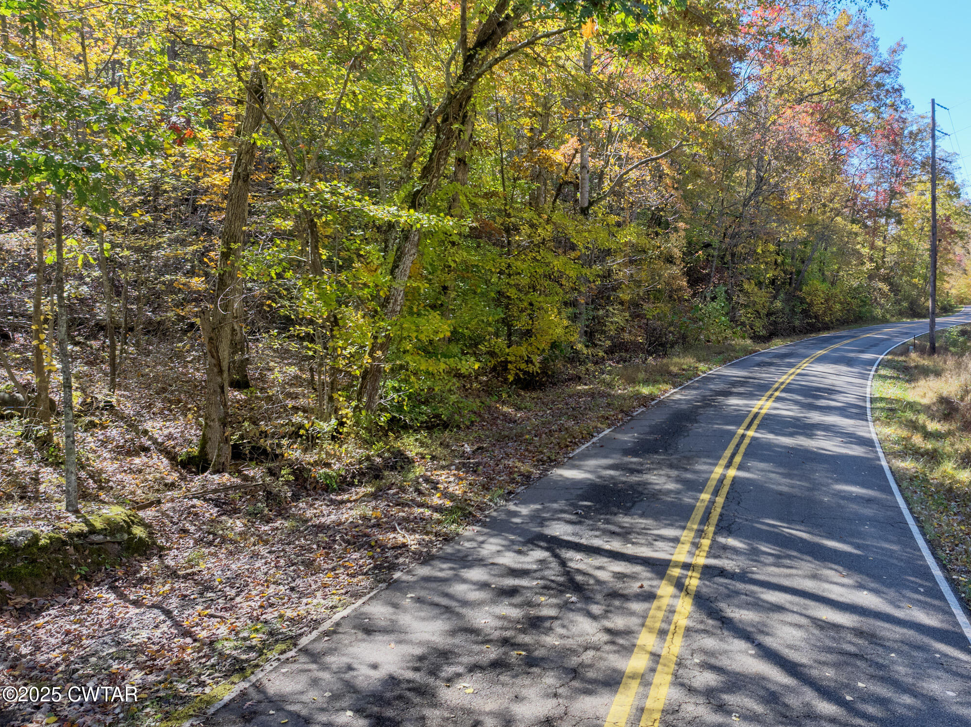 0 Lower Crooked Creek Road Lobelville, TN 37097 - Photo 3 of 15 a view of a backyard with trees