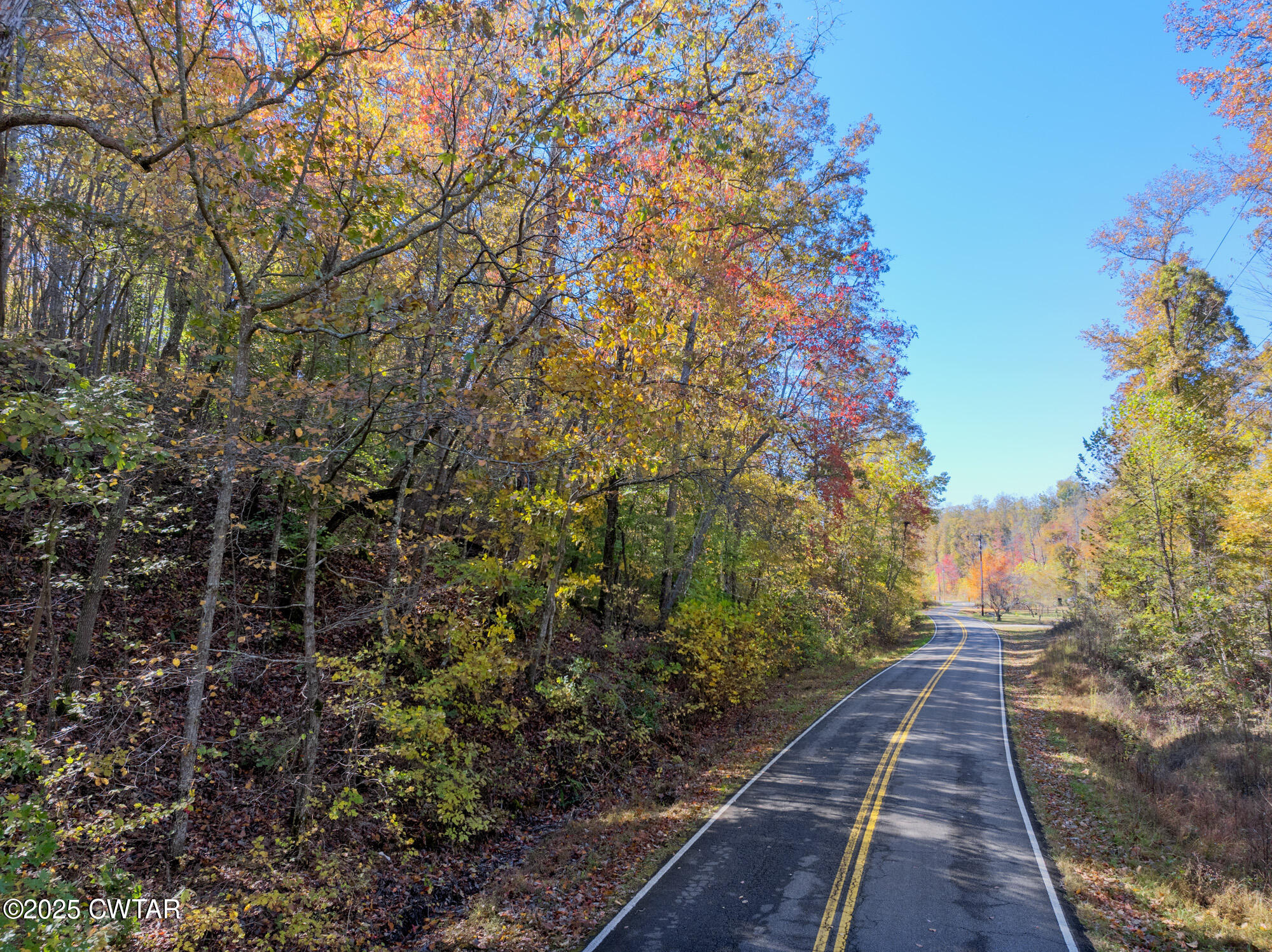 0 Lower Crooked Creek Road Lobelville, TN 37097 - Photo 4 of 15 a view of a pathway both side of the road