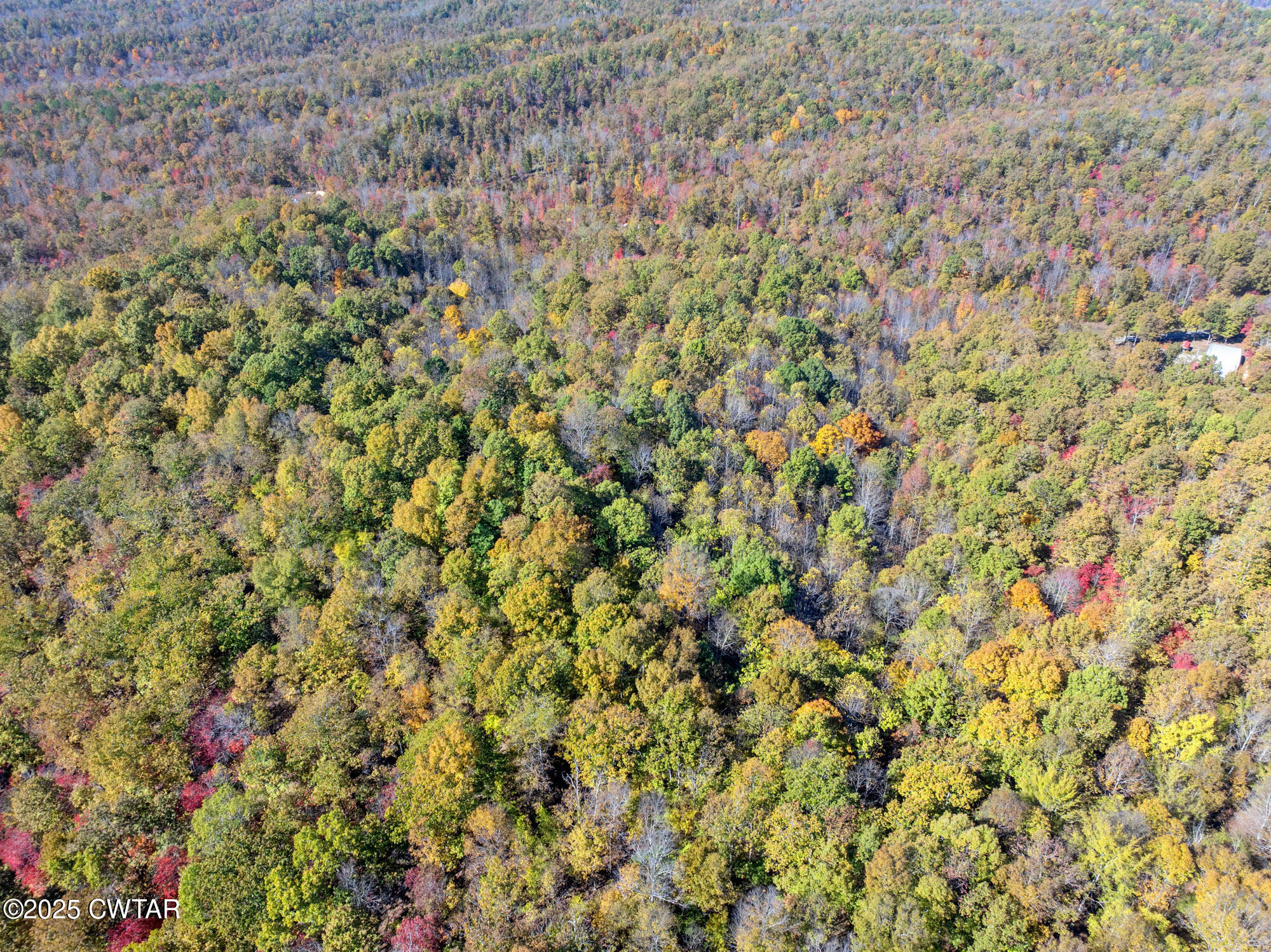 0 Lower Crooked Creek Road Lobelville, TN 37097 - Photo 8 of 15 a view of a dry yard