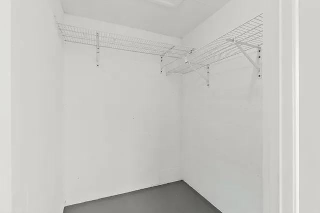 a view of a white house with a yard plants and large tree