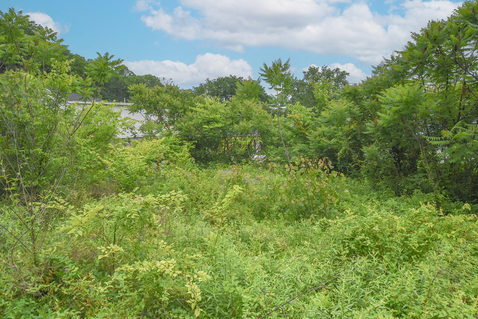 4768 River Road Hebron, KY 41048 - Photo 5 of 14