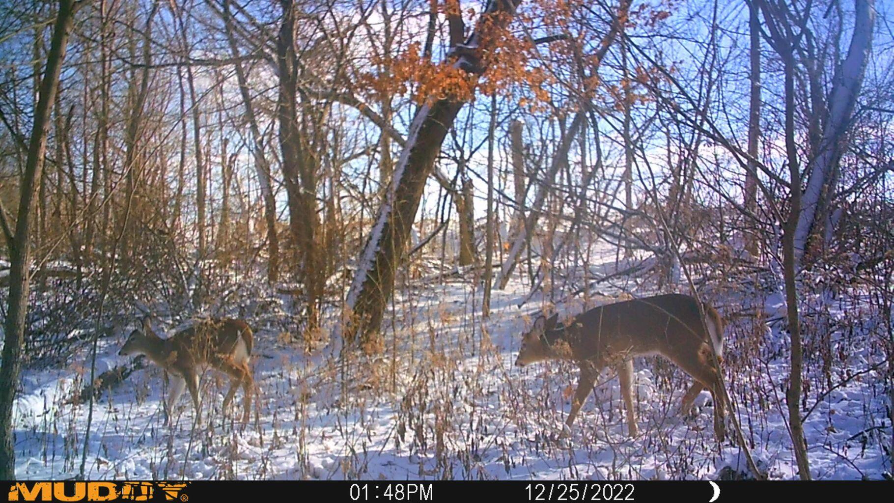 0 Fetters Road Bradford, OH 45308 - Photo 28 of 56