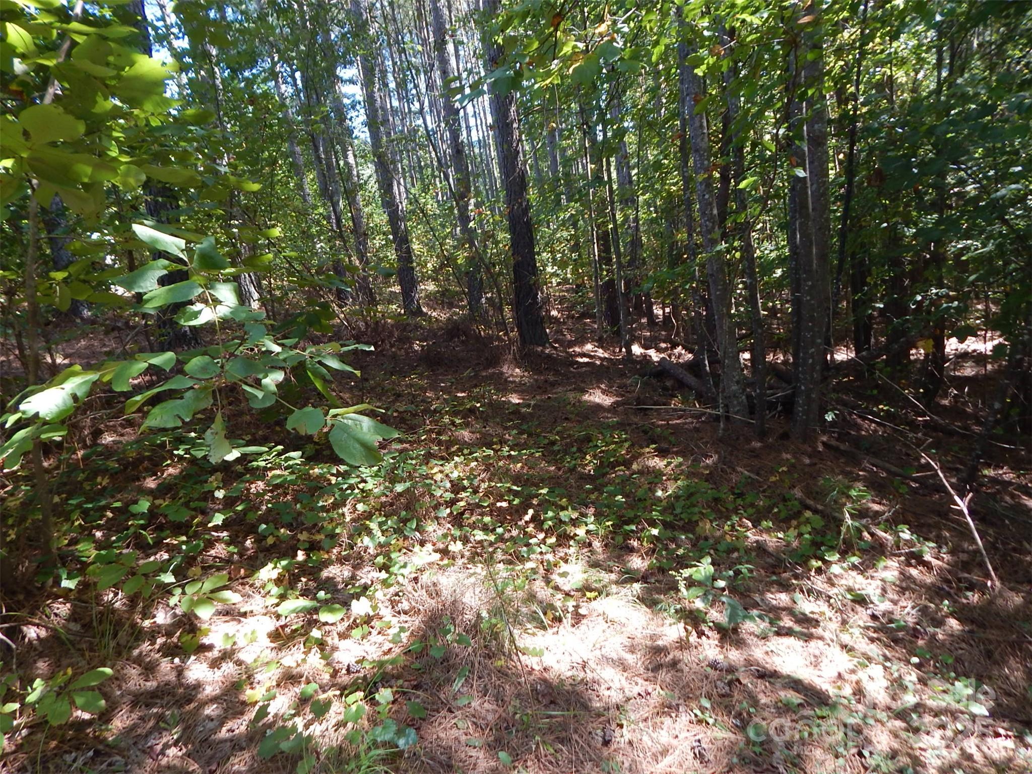 335 Table Rock Trace Northwest, Unit 154 Valdese, NC 28690 - Photo 2 of 25 a view of tree