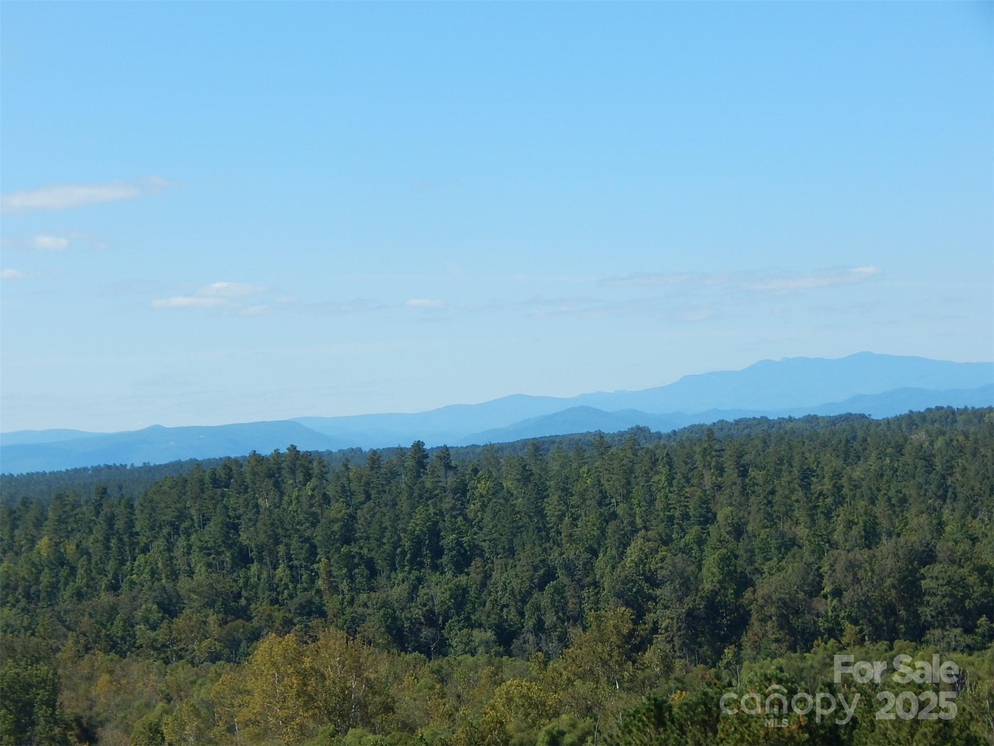 335 Table Rock Trace Northwest, Unit 154 Valdese, NC 28690 - Photo 7 of 25 a view of a city with lush green forest