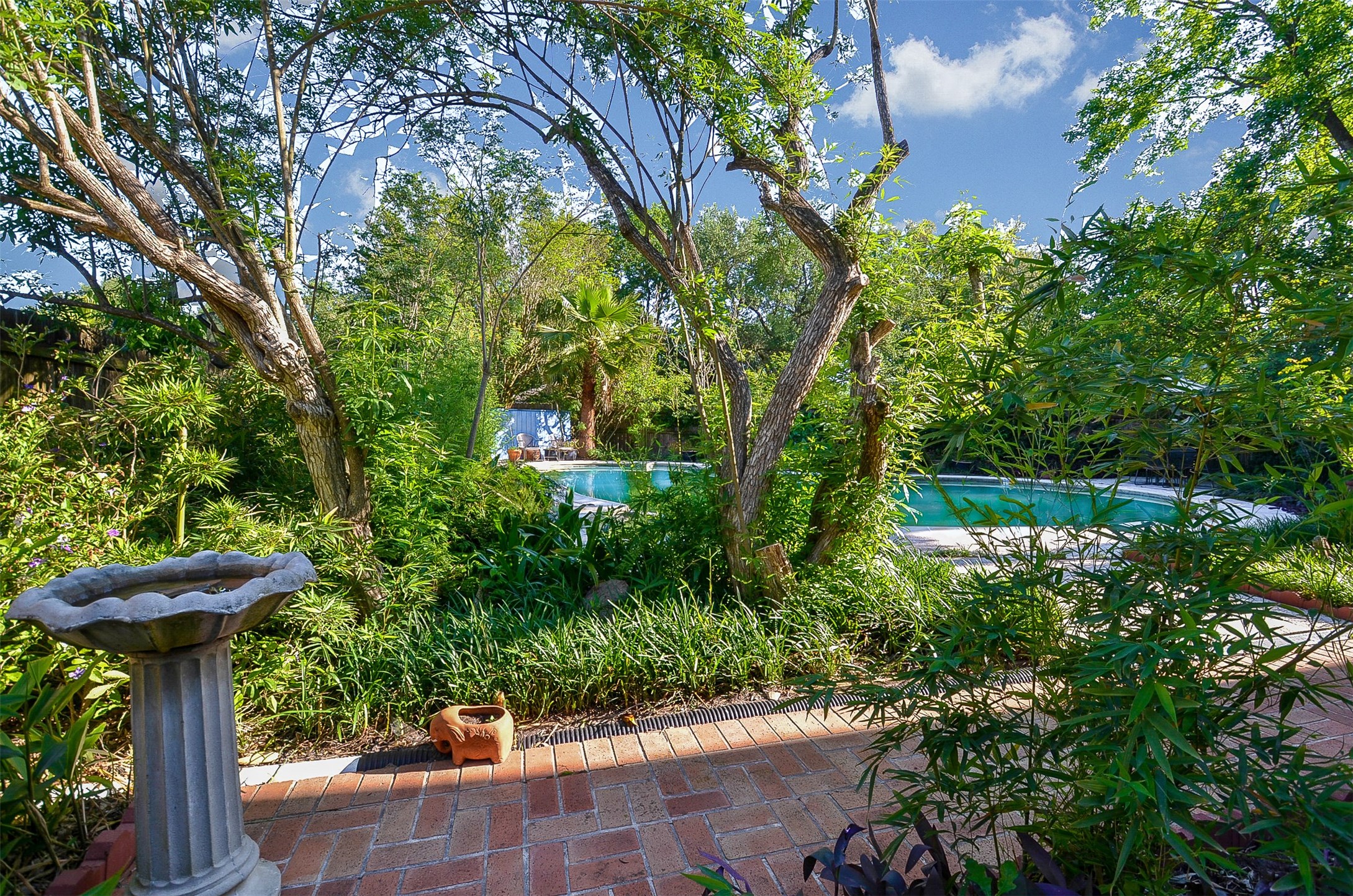 710 South Fry Road Katy, TX 77450 - Photo 11 of 50 Huge pool in the beatiful garden.