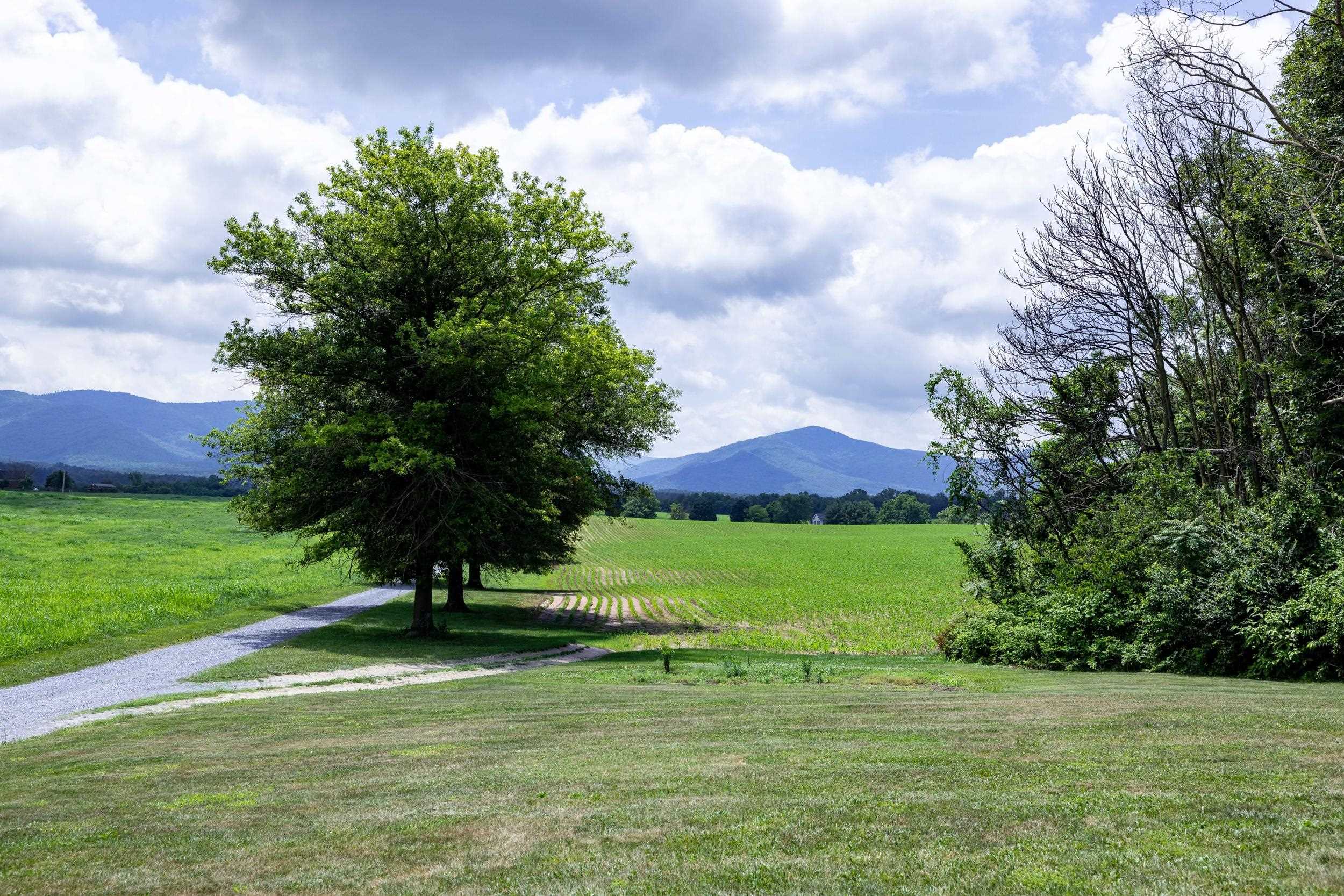 1630 Island Ford Road Elkton, VA 22827 - Photo 71 of 71