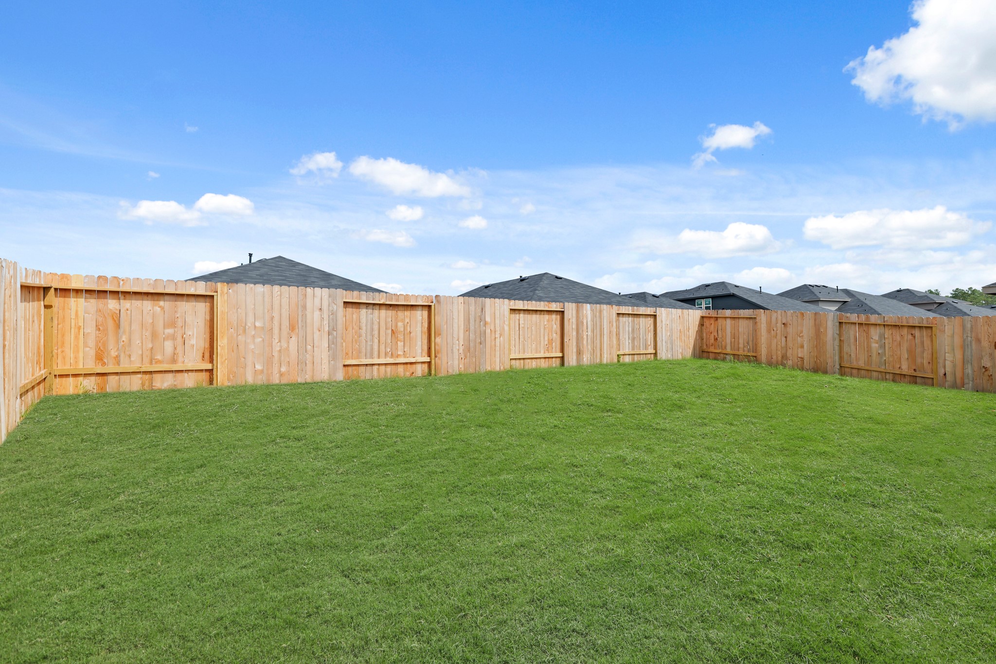 14392 Oceanblue Way Splendora, TX 77372 - Photo 23 of 30 a view of a backyard with large trees
