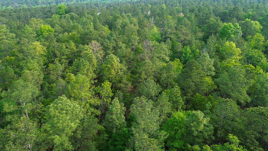 0 Mt Zion Road, Unit 5 Trenton, SC 29847 - Photo 14 of 26