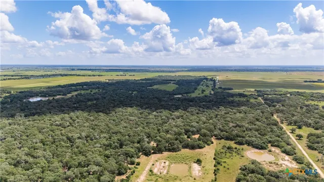 $2,880,000 | 19449-19587 Fm 530, Hallettsville, TX 77964