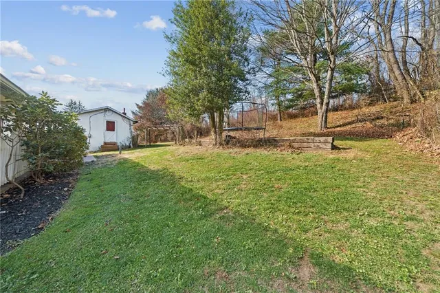 a view of a field with of trees