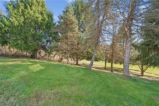 a view of green field with trees in the background