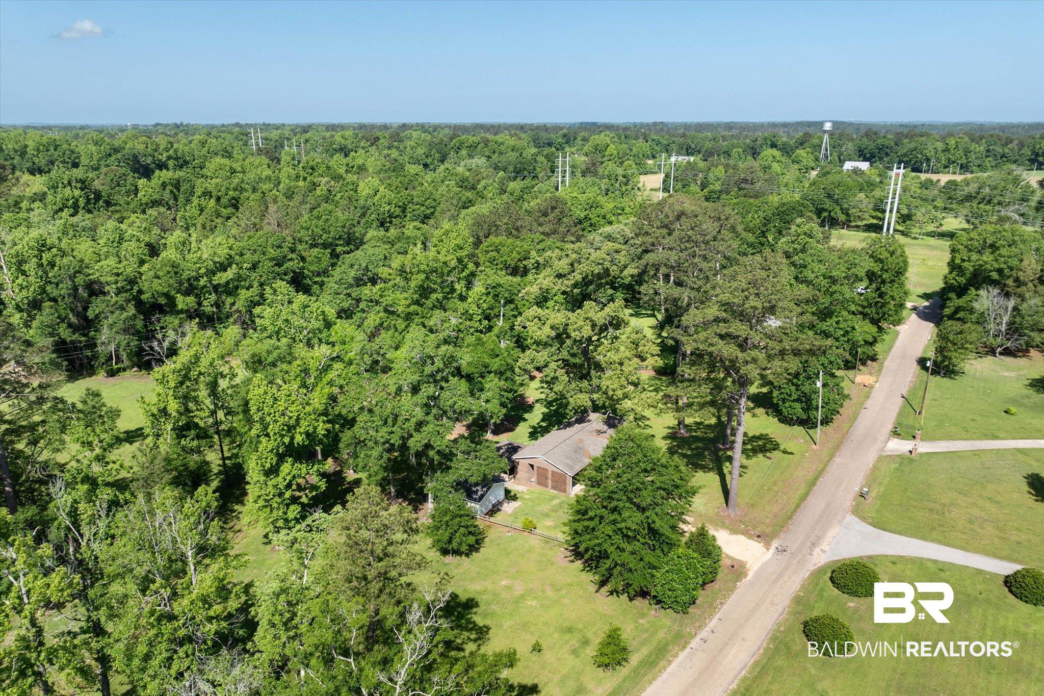 427 Upper Ferry Road Leroy, AL 36548 - Photo 37 of 37 Drone / aerial view of a forest