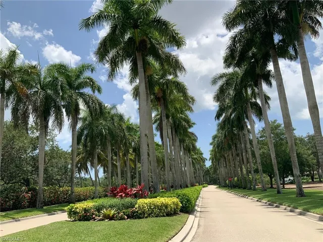 a view of a yard with palm trees