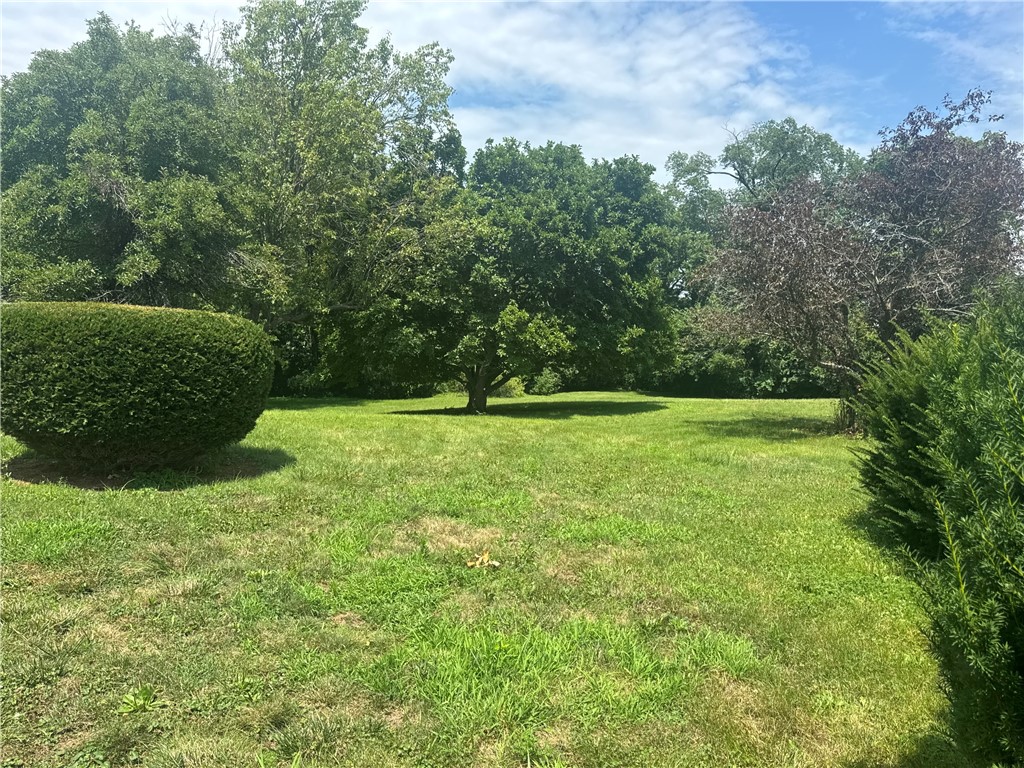 12735 Catlin Tilton Road Catlin, IL 61817 - Photo 22 of 22 a view of a grassy field with trees in the background