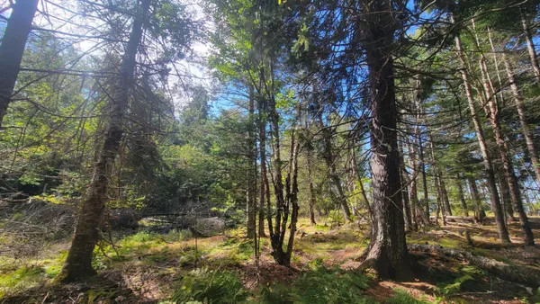 $275,000 | Lot 1-5 Evergreen Point Road, Jonesboro, ME 04648