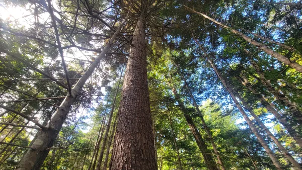 $275,000 | Lot 1-5 Evergreen Point Road, Jonesboro, ME 04648