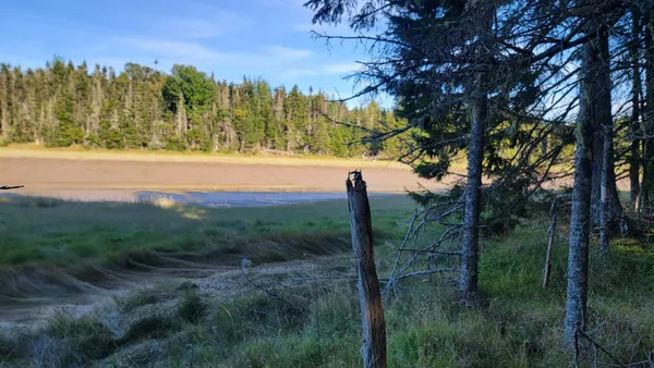 $275,000 | Lot 1-5 Evergreen Point Road, Jonesboro, ME 04648