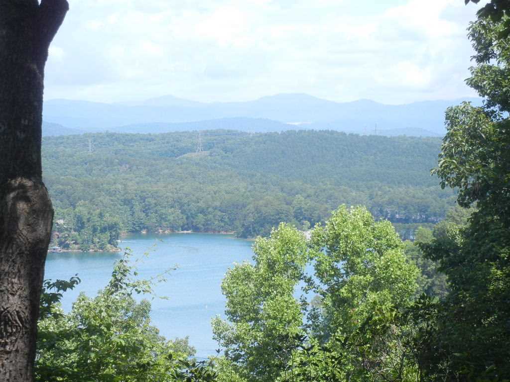806 Top Ridge Drive Sunset, SC 29685 - Photo 2 of 17 Gallery Image 2