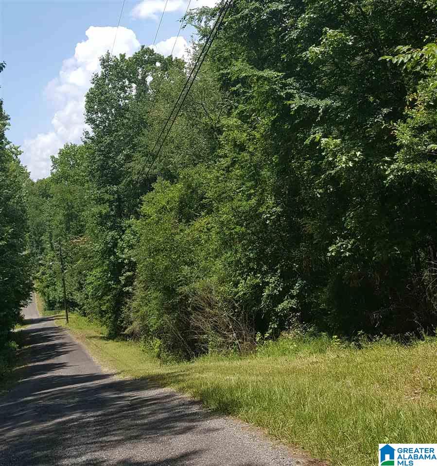5611 Cruce Road Adamsville, AL 35005 - Photo 2 of 3