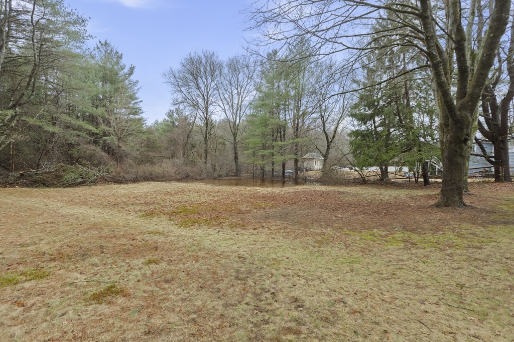 283 Orchard Street Millis, MA 02054 - Photo 35 of 41 a view of road view with large trees