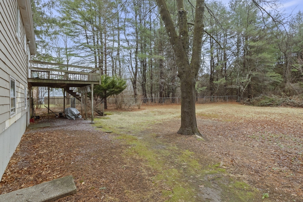 283 Orchard Street Millis, MA 02054 - Photo 36 of 41 a view of a yard with plants and trees