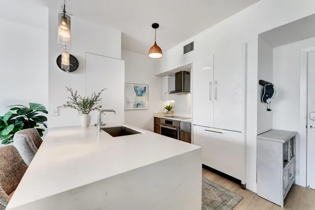a kitchen with stainless steel appliances white cabinets and a potted plant